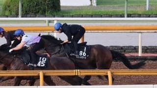 エルトンバローズ、毎日王冠1週前追い切り速報/栗東トレセンニュース