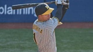 打線が下降気味の阪神、球界OBが修正点を指摘「全部同じタイミングで振っている」