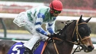 スプリンターズSは“白くない白毛一族対決”に注目 メイケイエールとママコチャが初対戦