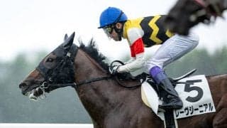 雨の中を逃げ切りV 2歳女王の仔が横山和生騎手とのコンビでサウジアラビアRCへ参戦