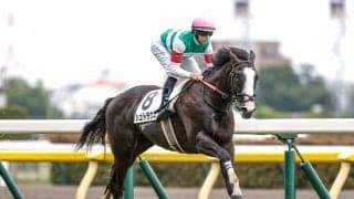 9馬身差の衝撃デビュー シュトラウスはサウジアラビアRCで復帰 武井師「メンタル面が以前と違う」