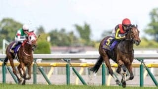 秋華賞想定 史上7頭目の牝馬三冠狙うリバティアイランドら18頭