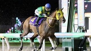 【日本テレビ盃】ドバイを制したウシュバテソーロが秋初戦を快勝…連勝を6に伸ばす