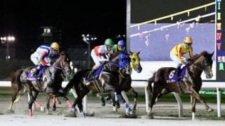 【日本テレビ盃】高木師「BCクラシックに挑めるのは光栄」ウシュバテソーロはBCへ