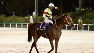 【日本テレビ盃】坂井「これからが楽しみ」テンカハルが2着と好走