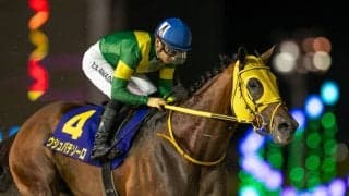 【日本テレビ盃】川田「無事に過ごしてもらえたらなという思いです」ウシュバテソーロが秋初戦を快勝