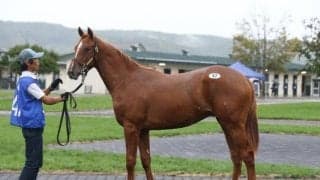 売上総額21億円超 盛況となったセプテンバーセール