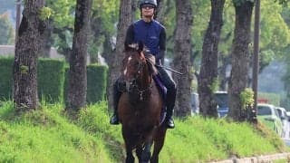 ドウデュース、天皇賞(秋)追い切り速報/栗東トレセンニュース