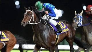 羽田盃覇者や中央・地方で8連勝飾ったブラッティーキッドがサラブレッドオークションに出品