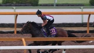 リバティアイランド、秋華賞2週前追い切り速報/栗東トレセンニュース