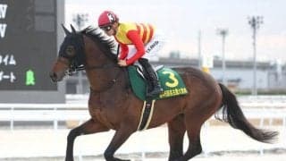 【シリウスS出走馬・騎手確定】ハギノアレグリアス＆岩田望来騎手、ヴァンヤール＆荻野極騎手など14頭
