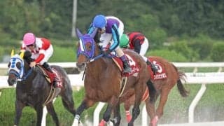 【園田・姫山菊花賞結果】ラッキードリームが断然人気に応え重賞10勝目を挙げる