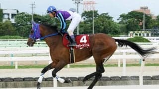 【園田・姫山菊花賞】単勝1.1倍ラッキードリームが完勝…下原「きっちり勝ってくれる」