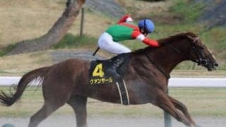 【シリウスS】惜敗続きのヴァンヤール 待望の重賞初制覇なるか