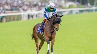 【スプリンターズS】出走馬の調教後の馬体重