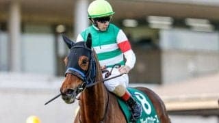 【凱旋門賞】スルーセブンシーズは5番ゲート 尾関師「色々な意味で好枠だなと」