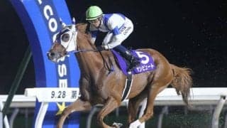 【門別・瑞穂賞結果】サンビュートが差し切りV！昨年の道営記念以来の重賞2勝目を挙げる