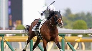 ダービー馬のラストレース/島田明宏