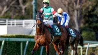 【凱旋門賞】スルーセブンシーズは軽めの調整