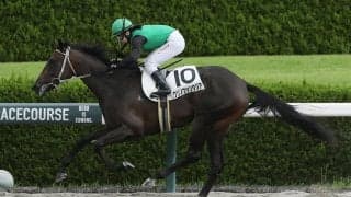 【新馬/阪神4R】河原田菜々騎乗、クリノファンタジアが8馬身差圧勝