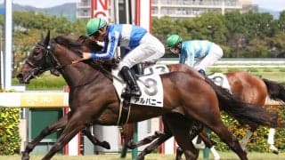 【新馬/阪神5R】ロードカナロア産駒 アルバニーがデビューV…断然人気ロードフォアエースは2着