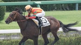 【新馬/中山4R】ヒストリアイ人気に応える！2馬身半差完勝