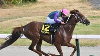 シリウスS17年ぶりの牝馬Vなるか 前走初ダート快勝の紅一点に注目