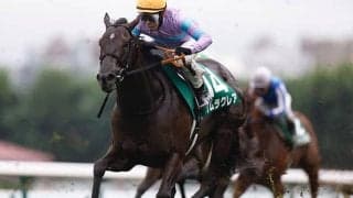 【スプリンターズS枠順確定】ナムラクレアは1枠1番、ママコチャは3枠6番