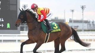 【シリウスS枠順確定】ハギノアレグリアスは8枠14番、ヴァンヤールは3枠3番