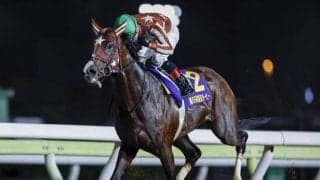 最後のダービーグランプリで三冠馬対決が実現！ ミックファイアは7枠7番、ベルピットは1枠1番