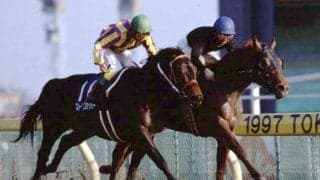 GI馬シンコウウインディが30歳で死す 97年のフェブラリーS覇者