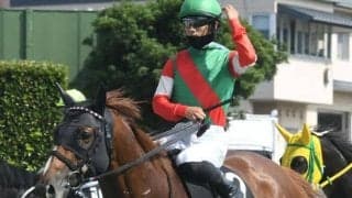 【シリウスS予想】4年ぶり阪神開催！ 中心視すべきは前走右回りコースの出走馬