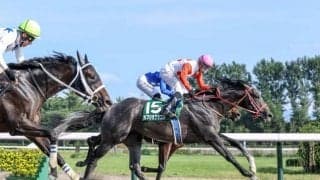 阪神ダートは大型馬が優勢 急坂を味方にカフジオクタゴンが浮上する