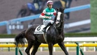 【サウジアラビアRC想定馬・騎手】シュトラウス、ボンドガールなど7頭