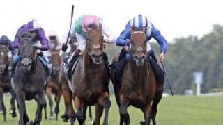 重賞8勝の良血馬が凱旋門賞に参戦 キングジョージに続くビッグタイトル獲得へ