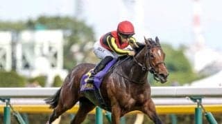 【秋華賞想定馬・騎手】リバティアイランド、ハーパーなど22頭