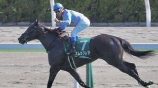 【スプリンターズS】ナムラクレアは最内枠へ