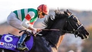 【京都大賞典想定馬・騎手】ヴェラアズール、ディープボンドなど15頭