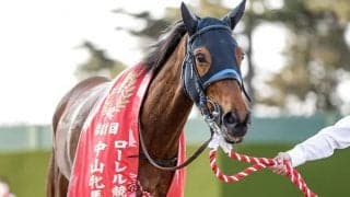 【凱旋門賞】スルーセブンシーズの調教状況 29日は坂路を軽めのキャンターで調整