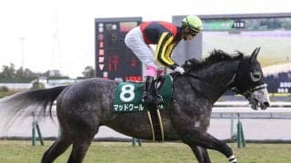 乱ペース必至のスプリンターズＳ　快速馬たちの直後で粘り込みを図る素質馬が不気味