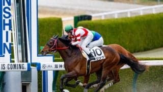 【シリウスS予想】暮れのGIにつながるダート戦 ハンデと難コース克服がカギ