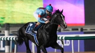 世界一のイクイノックスはなぜ凱旋門賞を回避したのか 国内で取りにいく「ロマンより実利」