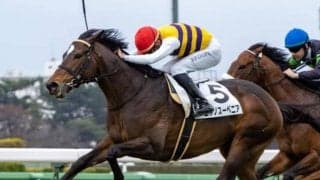 前走は不完全燃焼の僅差5着 ニシノスーベニアが秋風Sで巻き返す