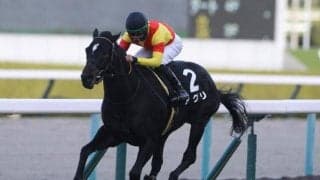 【スプリンターズS予想】馬券妙味は十分！ 馬体から推奨できる巻き返し必至な穴馬候補とは