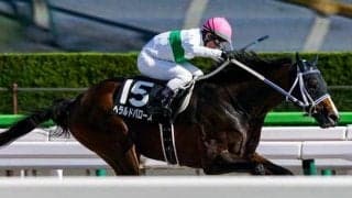 距離ロス大の前走は参考外 シリウスSで中穴狙い