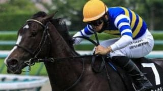 【土曜阪神6R予想】兄はかしわ記念覇者 初ダートでも期待十分