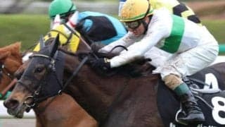 コーナー4つで折り合い改善 西宮Sはジュリアバローズの反撃だ