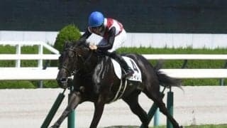 【阪神5R新馬戦結果】エピファネイア産駒のサイレントが逃げ切りV！