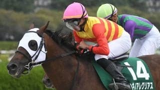 【シリウスS結果】ハギノアレグリアスが差し切り重賞2勝目！