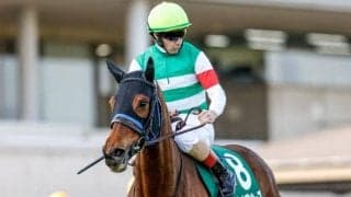 【凱旋門賞】スルーセブンシーズは7番人気タイの13倍 海外ブックメーカーオッズ